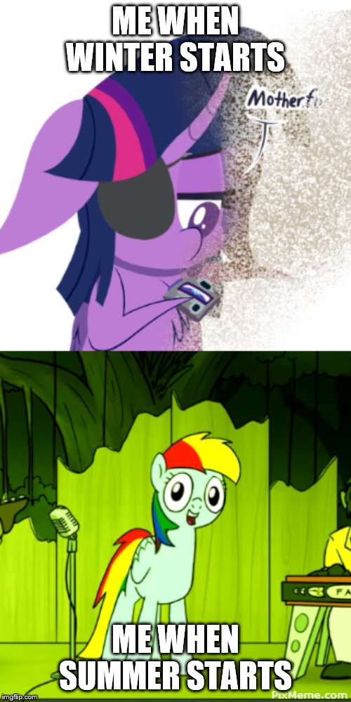 My little pony enjoying the seasons | ME WHEN WINTER STARTS; ME WHEN SUMMER STARTS | image tagged in mlp,my little pony,mlp meme,mylittlepony | made w/ Imgflip meme maker