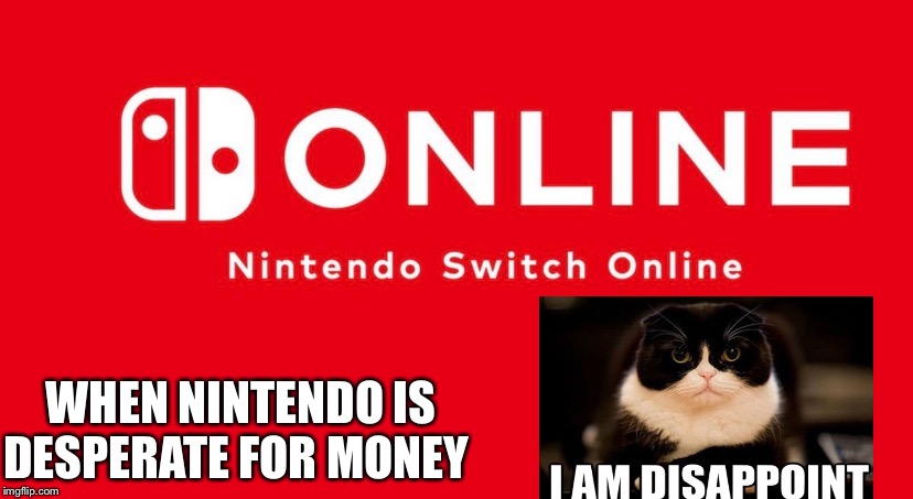 I HATE that you have to pay to go online | WHEN NINTENDO IS DESPERATE FOR MONEY | image tagged in nintendo,dissapointed,cat,nintendo switch | made w/ Imgflip meme maker