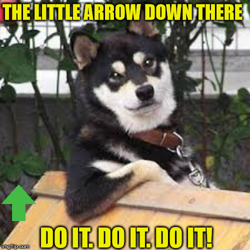 Do it! Do it! | THE LITTLE ARROW DOWN THERE; DO IT. DO IT. DO IT! | image tagged in hotdogs,upvotes,pets,sauve,mac daddy | made w/ Imgflip meme maker