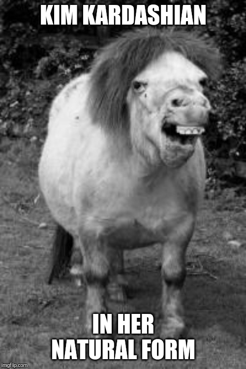 ugly horse | KIM KARDASHIAN; IN HER NATURAL FORM | image tagged in ugly horse | made w/ Imgflip meme maker