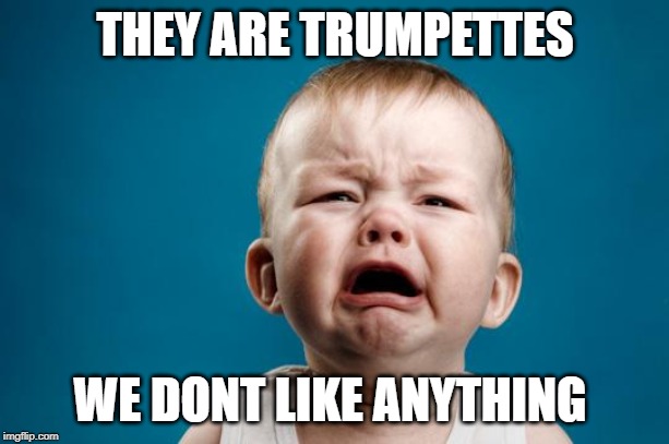BABY CRYING | THEY ARE TRUMPETTES WE DONT LIKE ANYTHING | image tagged in baby crying | made w/ Imgflip meme maker