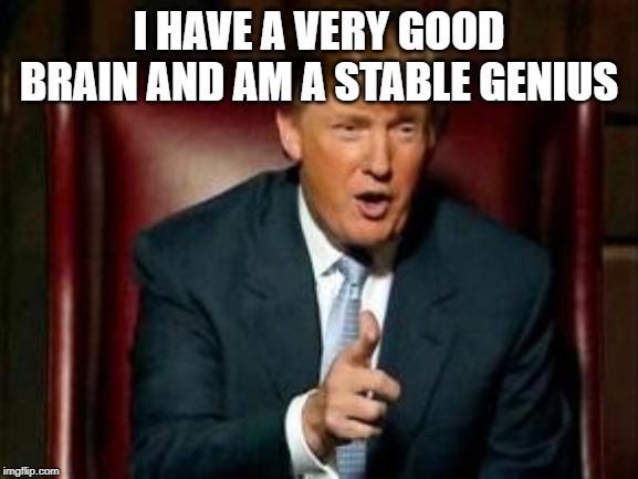 Donald Trump | I HAVE A VERY GOOD BRAIN AND AM A STABLE GENIUS | image tagged in donald trump | made w/ Imgflip meme maker