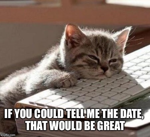 tired cat | IF YOU COULD TELL ME THE DATE, 
THAT WOULD BE GREAT | image tagged in tired cat | made w/ Imgflip meme maker