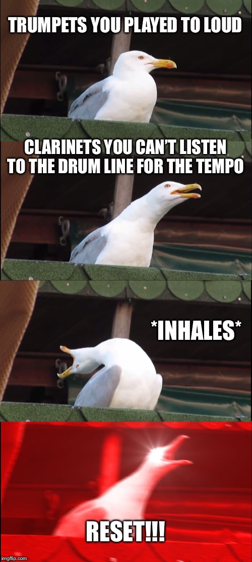Inhaling Seagull Meme | TRUMPETS YOU PLAYED TO LOUD; CLARINETS YOU CAN’T LISTEN TO THE DRUM LINE FOR THE TEMPO; *INHALES*; RESET!!! | image tagged in memes,inhaling seagull | made w/ Imgflip meme maker