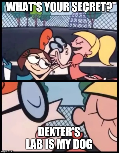 Say it Again, Dexter Meme | WHAT'S YOUR SECRET? DEXTER'S LAB IS MY DOG | image tagged in memes,say it again dexter | made w/ Imgflip meme maker