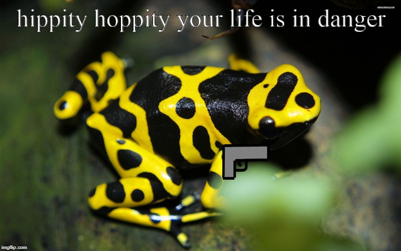 hippity hoppity | hippity hoppity your life is in danger | image tagged in hippity hoppity | made w/ Imgflip meme maker