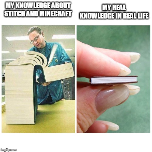 I think minecraft is better than real life knowledge? | MY KNOWLEDGE ABOUT STITCH AND MINECRAFT; MY REAL KNOWLEDGE IN REAL LIFE | image tagged in big book vs little book | made w/ Imgflip meme maker