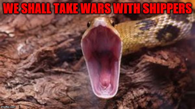 WE SHALL TAKE WARS WITH SHIPPERS | image tagged in snake | made w/ Imgflip meme maker