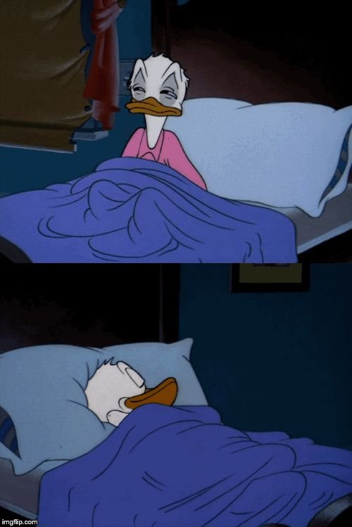 Sleeping Donald Duck | image tagged in sleeping donald duck | made w/ Imgflip meme maker