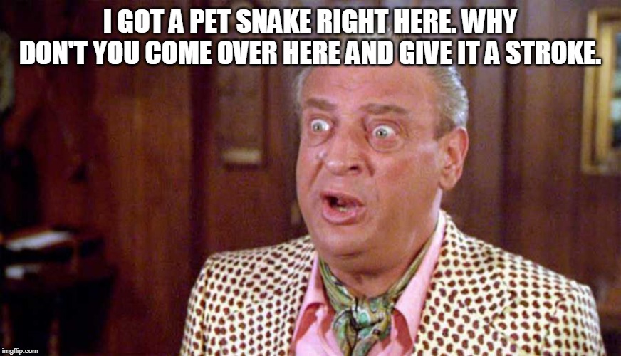 I GOT A PET SNAKE RIGHT HERE. WHY DON'T YOU COME OVER HERE AND GIVE IT A STROKE. | made w/ Imgflip meme maker
