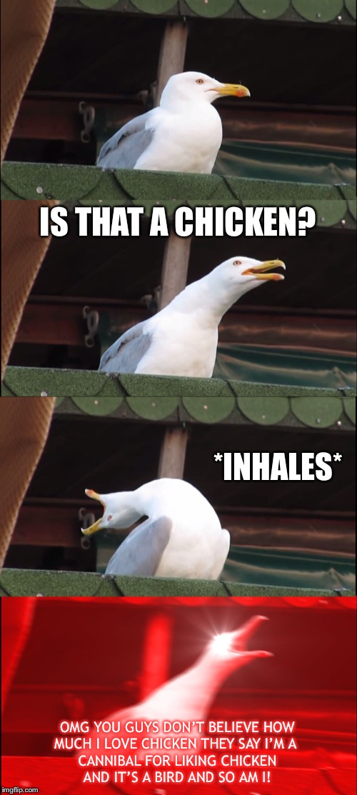 Inhaling Seagull | IS THAT A CHICKEN? *INHALES*; OMG YOU GUYS DON’T BELIEVE HOW
MUCH I LOVE CHICKEN THEY SAY I’M A 
CANNIBAL FOR LIKING CHICKEN
AND IT’S A BIRD AND SO AM I! | image tagged in memes,inhaling seagull | made w/ Imgflip meme maker