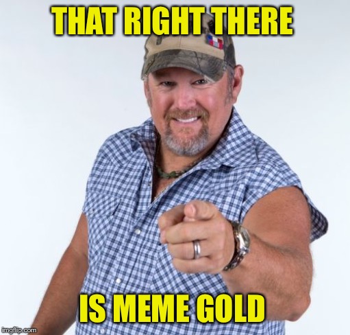 Larry the Cable Guy | THAT RIGHT THERE IS MEME GOLD | image tagged in larry the cable guy | made w/ Imgflip meme maker