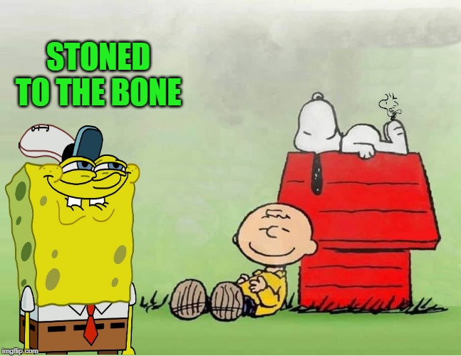 to the bone | STONED TO THE BONE | image tagged in spongebob,snoopy,charlie brown | made w/ Imgflip meme maker