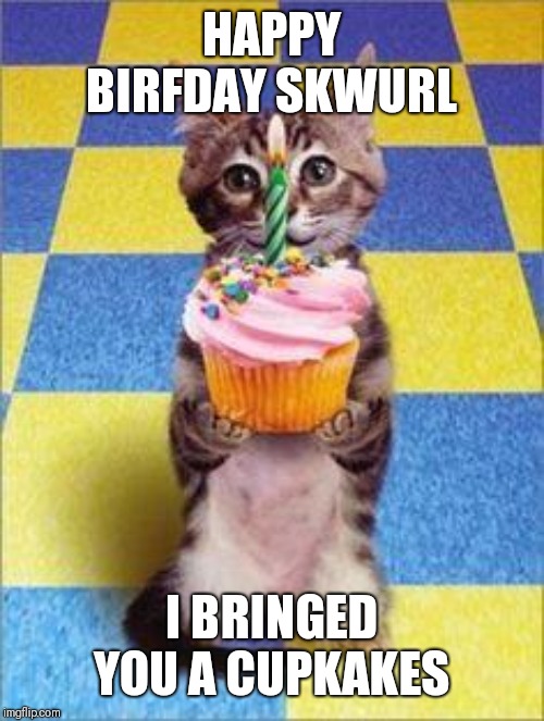 Happy Birthday Cat | HAPPY BIRFDAY SKWURL I BRINGED YOU A CUPKAKES | image tagged in happy birthday cat | made w/ Imgflip meme maker