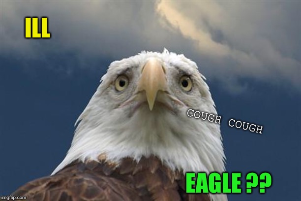 Sad American Eagle | ILL EAGLE ?? COUGH COUGH | image tagged in sad american eagle | made w/ Imgflip meme maker