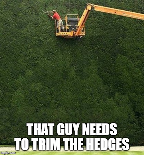 trimming the bushes | THAT GUY NEEDS TO TRIM THE HEDGES | image tagged in trimming the bushes | made w/ Imgflip meme maker
