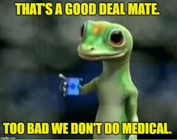 Geico Gecko | THAT'S A GOOD DEAL MATE. TOO BAD WE DON'T DO MEDICAL. | image tagged in geico gecko | made w/ Imgflip meme maker