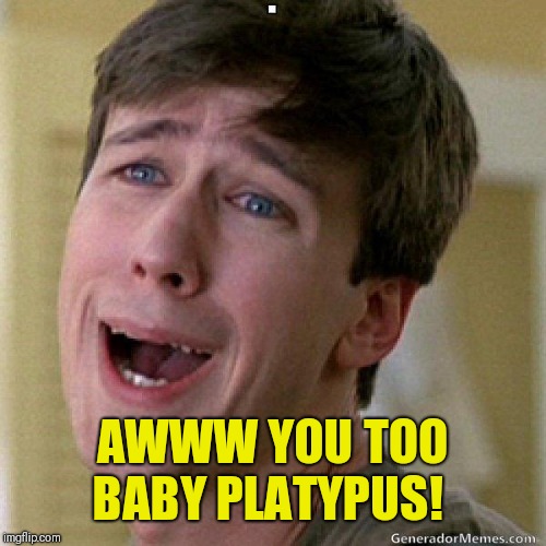 awww | AWWW YOU TOO BABY PLATYPUS! | image tagged in awww | made w/ Imgflip meme maker