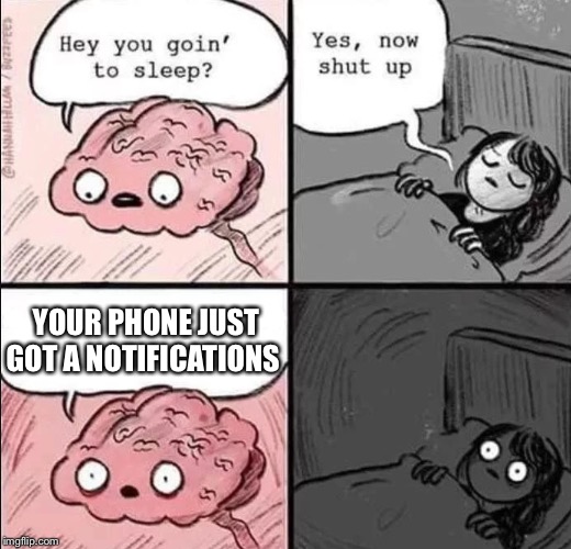 It's always when your about to sleep | YOUR PHONE JUST GOT A NOTIFICATIONS | image tagged in waking up brain | made w/ Imgflip meme maker
