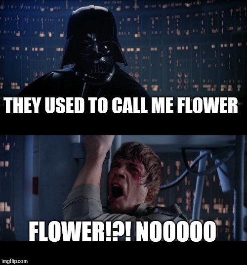 Star Wars No Meme | THEY USED TO CALL ME FLOWER; FLOWER!?! NOOOOO | image tagged in memes,star wars no | made w/ Imgflip meme maker