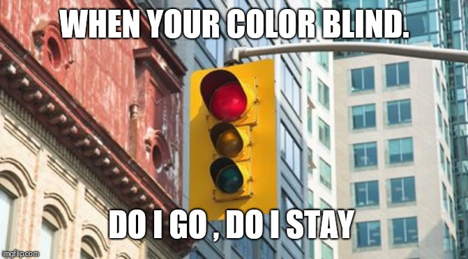 Blind | WHEN YOUR COLOR BLIND. DO I GO , DO I STAY | image tagged in fun | made w/ Imgflip meme maker