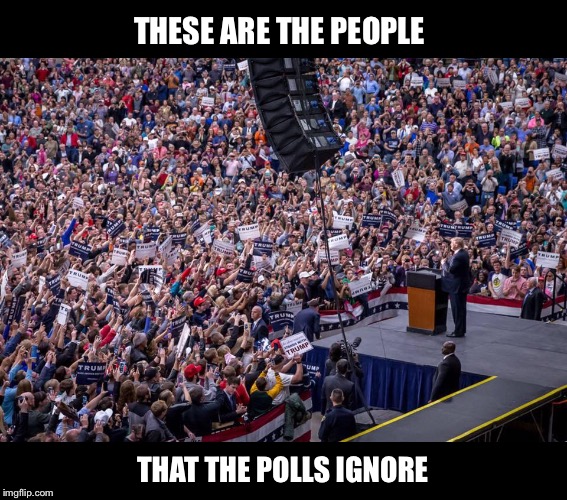 Which do you believe?  YOUR EYES or the Mainstream Media | THESE ARE THE PEOPLE; THAT THE POLLS IGNORE | image tagged in trump rally,polls,mainstream media,manipulation | made w/ Imgflip meme maker