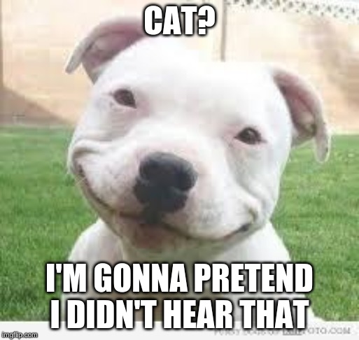 Happy Friday Puppy | CAT? I'M GONNA PRETEND I DIDN'T HEAR THAT | image tagged in happy friday puppy | made w/ Imgflip meme maker