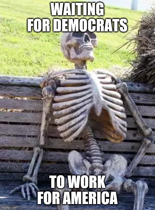 Waiting Skeleton | WAITING FOR DEMOCRATS; TO WORK FOR AMERICA | image tagged in memes,waiting skeleton | made w/ Imgflip meme maker