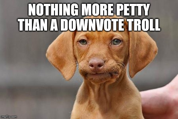 Dissapointed puppy | NOTHING MORE PETTY THAN A DOWNVOTE TROLL | image tagged in dissapointed puppy | made w/ Imgflip meme maker
