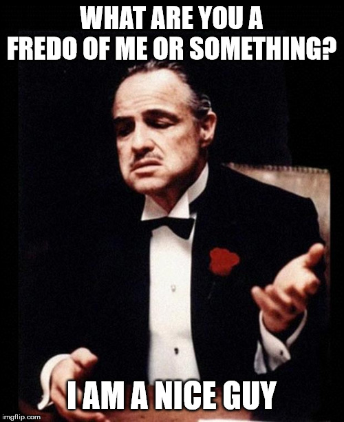 Me not a fredo of you | WHAT ARE YOU A FREDO OF ME OR SOMETHING? I AM A NICE GUY | image tagged in godfather,fredo | made w/ Imgflip meme maker