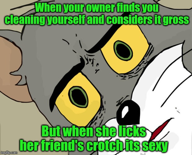 Unsettled Tom Meme | When your owner finds you cleaning yourself and considers it gross; But when she licks her friend's crotch its sexy | image tagged in memes,unsettled tom | made w/ Imgflip meme maker