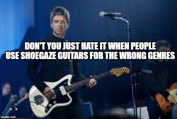 Shoegaze guitars | DON'T YOU JUST HATE IT WHEN PEOPLE USE SHOEGAZE GUITARS FOR THE WRONG GENRES | image tagged in shoegaze meme,shoegaze memes,music meme,fender jazzmaster,fender,jazzmaster meme | made w/ Imgflip meme maker