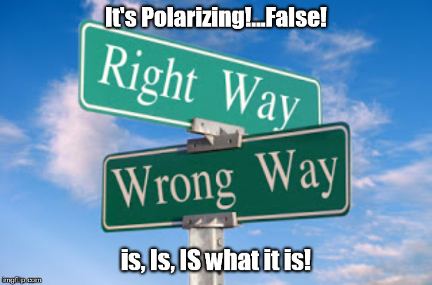 the "Polarizing" Ruse | It's Polarizing!...False! is, Is, IS what it is! | image tagged in ruse,fallacy,joke,polar opposites,right wrong | made w/ Imgflip meme maker