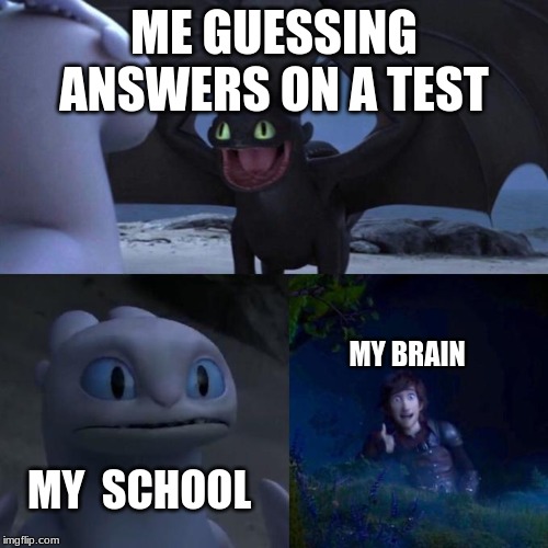 Toothless presents himself | ME GUESSING ANSWERS ON A TEST; MY BRAIN; MY  SCHOOL | image tagged in toothless presents himself | made w/ Imgflip meme maker