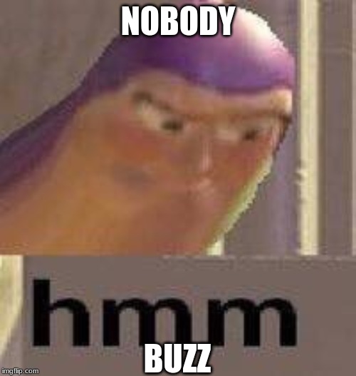 Buzz Lightyear Hmm | NOBODY; BUZZ | image tagged in buzz lightyear hmm | made w/ Imgflip meme maker