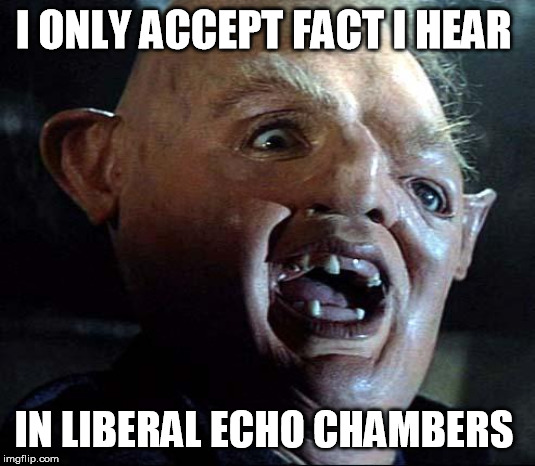 Sloth Goonies | I ONLY ACCEPT FACT I HEAR IN LIBERAL ECHO CHAMBERS | image tagged in sloth goonies | made w/ Imgflip meme maker