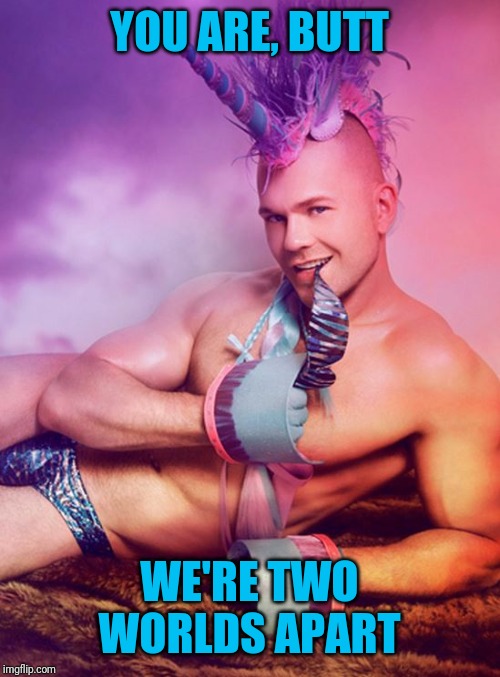 Sexy Gay Unicorn | YOU ARE, BUTT WE'RE TWO WORLDS APART | image tagged in sexy gay unicorn | made w/ Imgflip meme maker