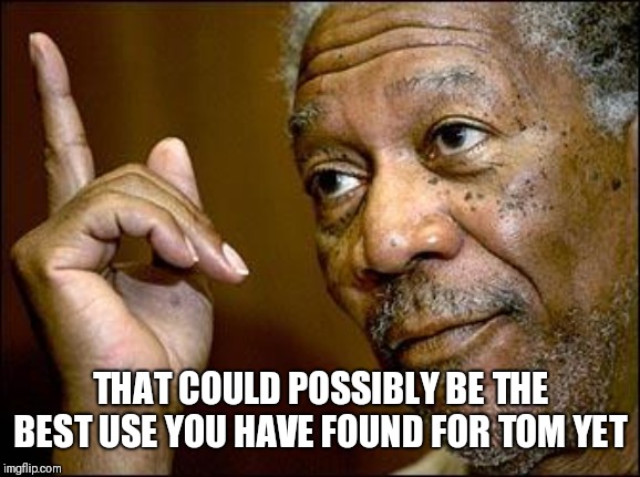This Morgan Freeman | THAT COULD POSSIBLY BE THE BEST USE YOU HAVE FOUND FOR TOM YET | image tagged in this morgan freeman | made w/ Imgflip meme maker