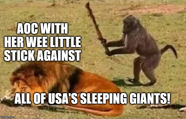 Drunk Monkey | AOC WITH HER WEE LITTLE STICK AGAINST; ALL OF USA'S SLEEPING GIANTS! | image tagged in drunk monkey | made w/ Imgflip meme maker