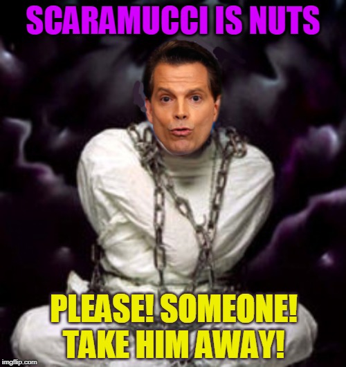 SCARAMUCCI IS NUTS; PLEASE! SOMEONE!
TAKE HIM AWAY! | made w/ Imgflip meme maker