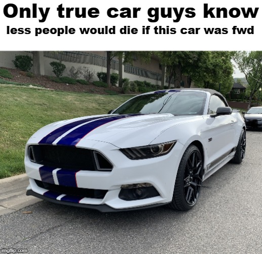 We're also tired of Shelby logos on V6's! - Imgflip