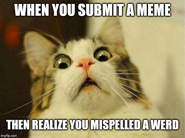 Scared Cat Meme | WHEN YOU SUBMIT A MEME; THEN REALIZE YOU MISPELLED A WERD | image tagged in memes,scared cat | made w/ Imgflip meme maker