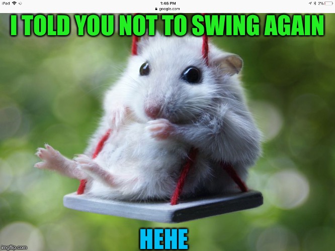 Mouse | I TOLD YOU NOT TO SWING AGAIN; HEHE | image tagged in memes | made w/ Imgflip meme maker