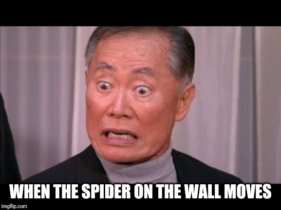 George Takei | WHEN THE SPIDER ON THE WALL MOVES | image tagged in george takei | made w/ Imgflip meme maker