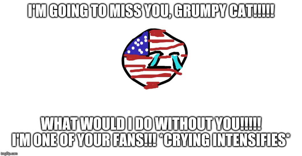 crying America | I'M GOING TO MISS YOU, GRUMPY CAT!!!!! WHAT WOULD I DO WITHOUT YOU!!!!! I'M ONE OF YOUR FANS!!! *CRYING INTENSIFIES* | image tagged in crying america | made w/ Imgflip meme maker