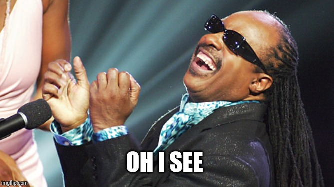 Stevie Wonder Laughing | OH I SEE | image tagged in stevie wonder laughing | made w/ Imgflip meme maker