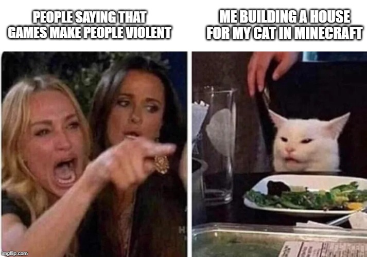Confused Cat at Dinner | PEOPLE SAYING THAT GAMES MAKE PEOPLE VIOLENT; ME BUILDING A HOUSE FOR MY CAT IN MINECRAFT | image tagged in confused cat at dinner | made w/ Imgflip meme maker