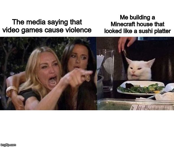 woman yelling at cat | Me building a Minecraft house that looked like a sushi platter; The media saying that video games cause violence | image tagged in woman yelling at cat | made w/ Imgflip meme maker