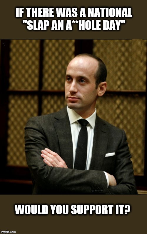 SLAP AN A**HOLE | IF THERE WAS A NATIONAL "SLAP AN A**HOLE DAY"; WOULD YOU SUPPORT IT? | image tagged in stephen miller,racists,pig,nazi,scumbag steve | made w/ Imgflip meme maker