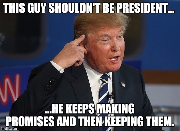 Trump is an absolute madman! | THIS GUY SHOULDN'T BE PRESIDENT... ...HE KEEPS MAKING PROMISES AND THEN KEEPING THEM. | image tagged in donald trump pointing to his head,maga,trump 2020,trump | made w/ Imgflip meme maker